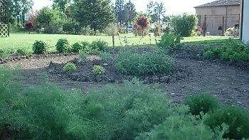 Costanza فندق بونتينوري